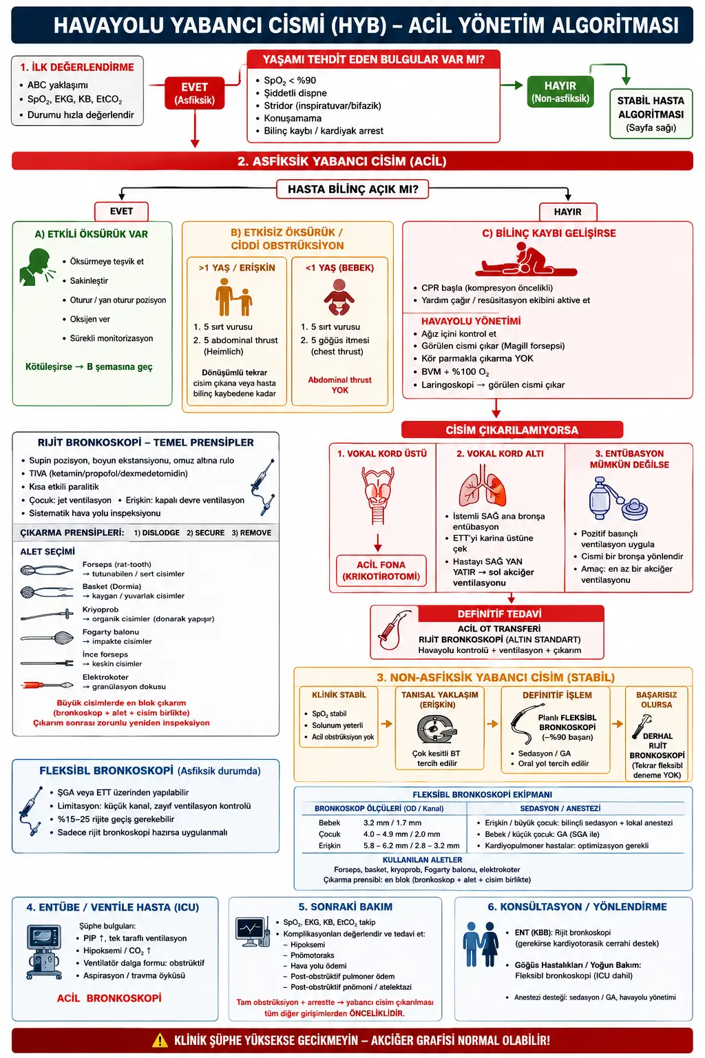 Havayolu Yabancı Cisimleri (Airway Foreign Bodies)